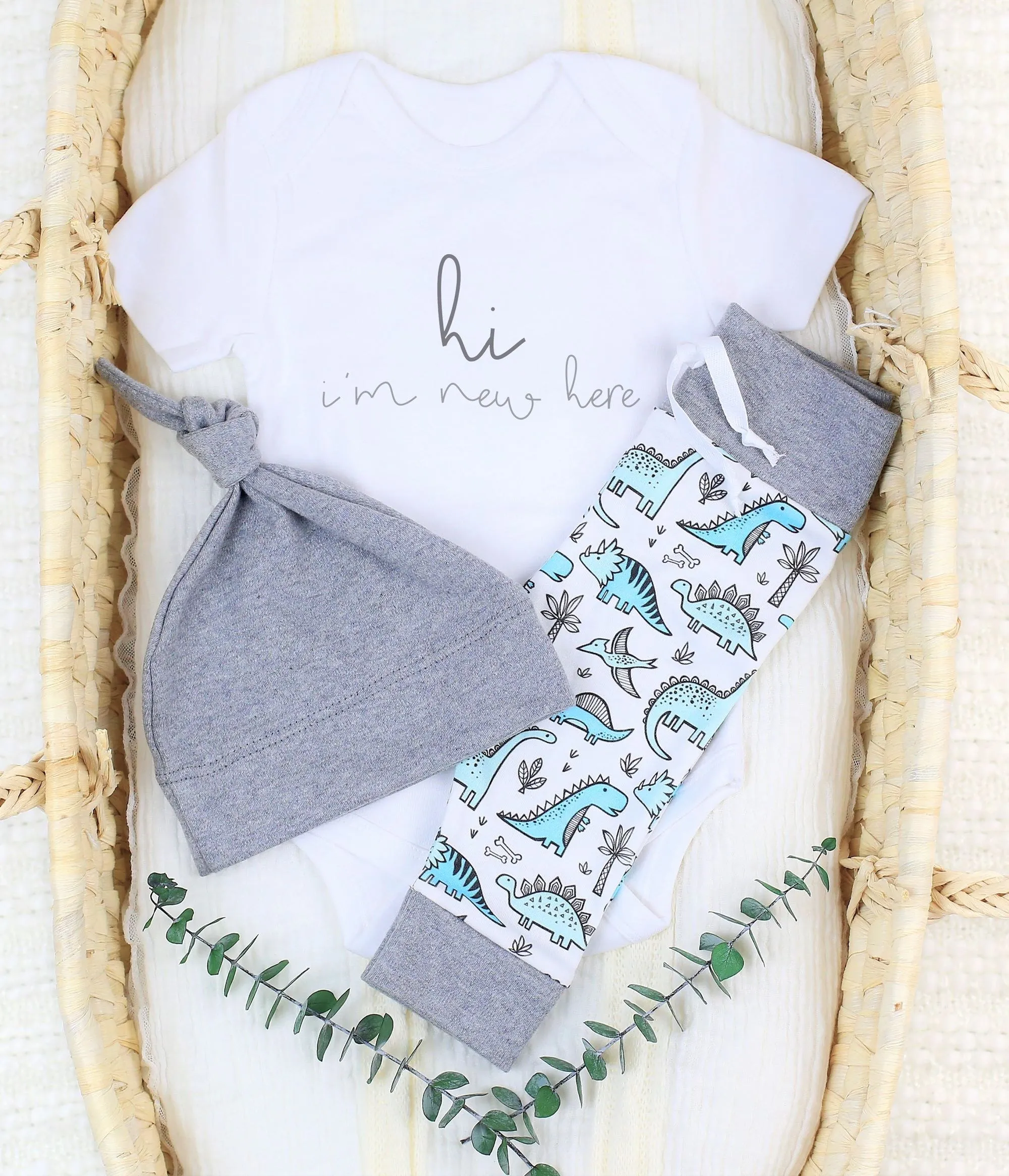 Friendly Dinosaurs | Organic Baby Boy Set