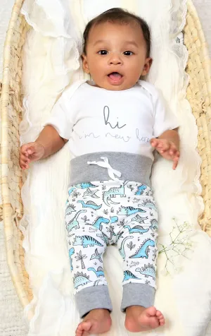 Friendly Dinosaurs | Organic Baby Boy Set