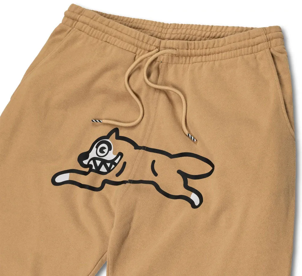 JOGGING DOG JOGGER