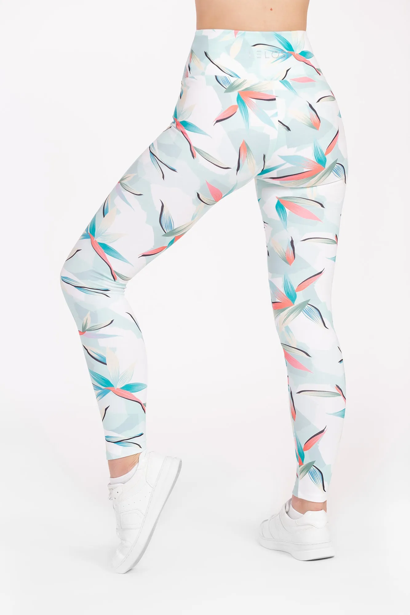 Polarosi Flutter