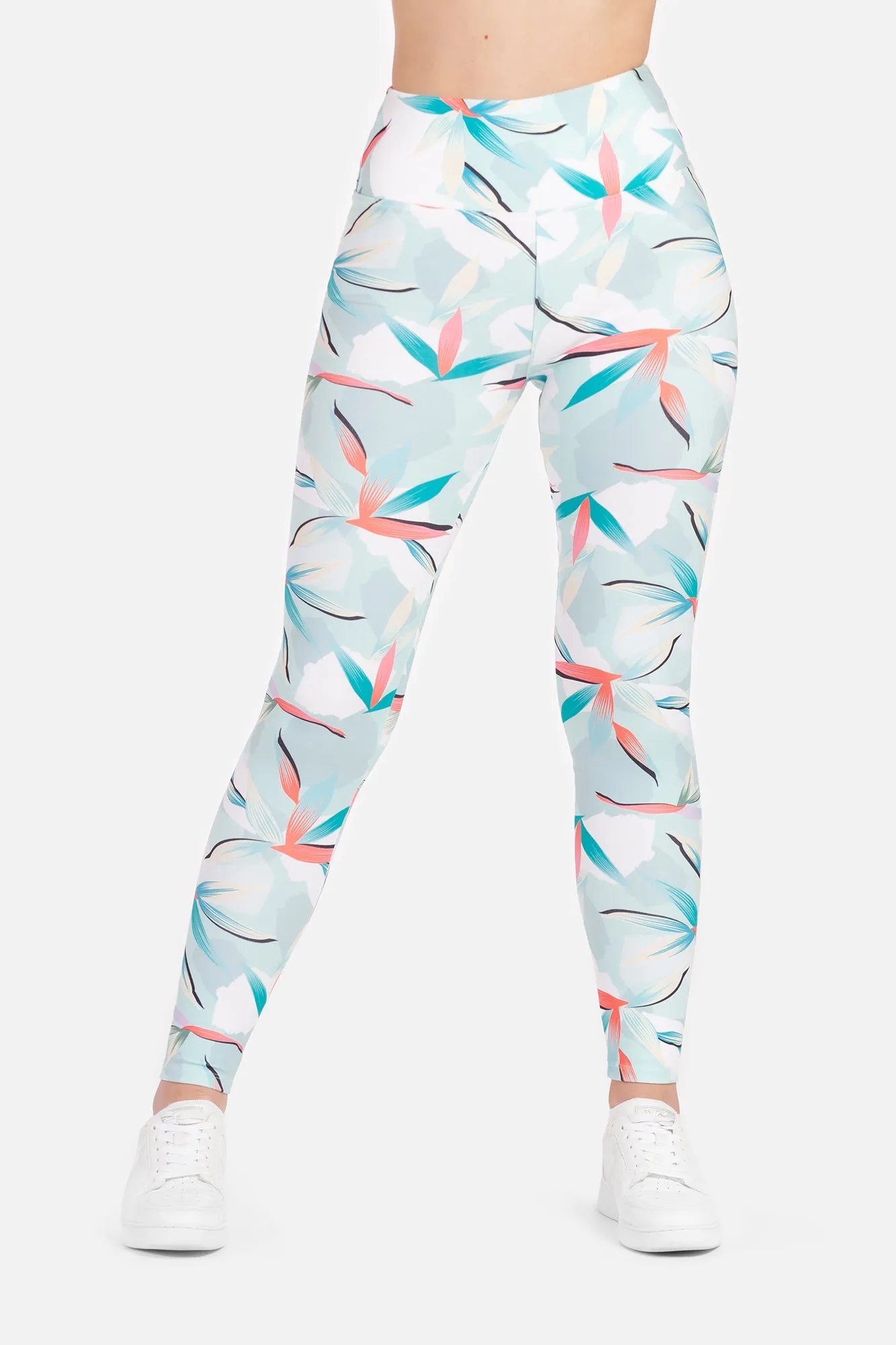 Polarosi Flutter