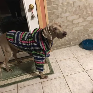 XXL DOG PONCHO   60-80 pounds